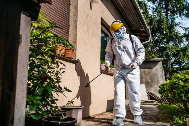 Best Exterminator Services  in Pierce, NE