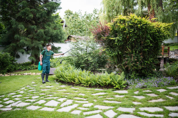 Best Best Pest Control Companies  in Pierce, NE