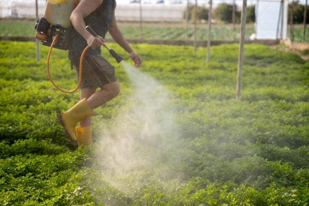 Best Best Pest Control Companies  in Pierce, NE