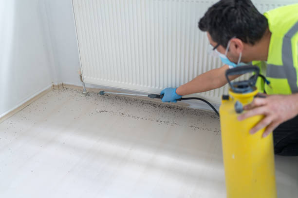 Best Best Pest Control Companies  in Pierce, NE