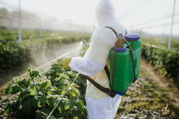 Best Cockroach Control Services  in Pierce, NE